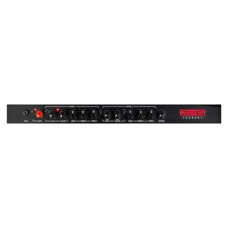 Laney IRF120-212 IRONHEART