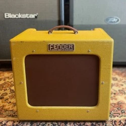 Fender Bassman TV TEN (USATO)