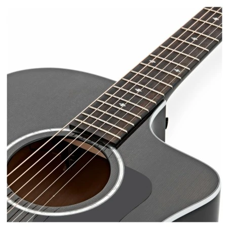 Taylor 214ce DLX LTD Trans Grey