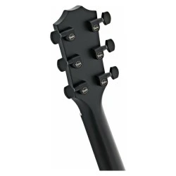 Taylor 214ce DLX LTD Trans Grey