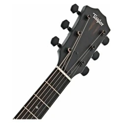 Taylor 214ce DLX LTD Trans Grey
