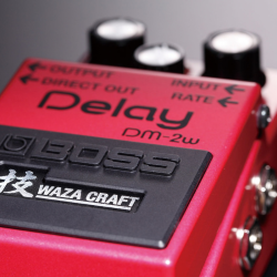 BOSS DM-2W Delay Waza Craft