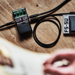 BOSS RE-2 Space Echo