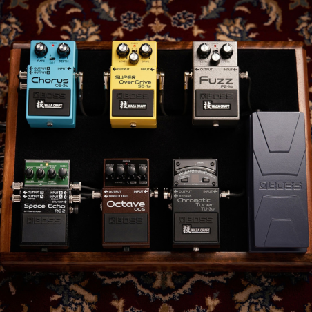 BOSS RE-2 Space Echo