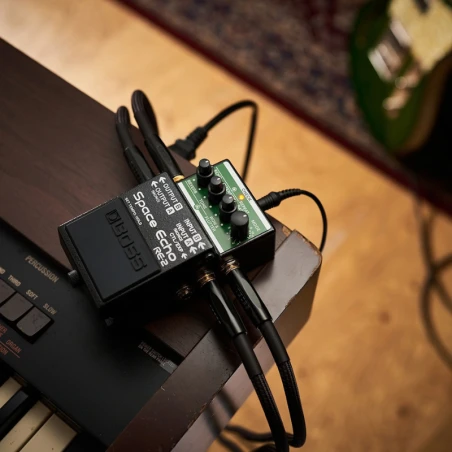 BOSS RE-2 Space Echo