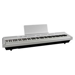 E-chord sp20 wh
