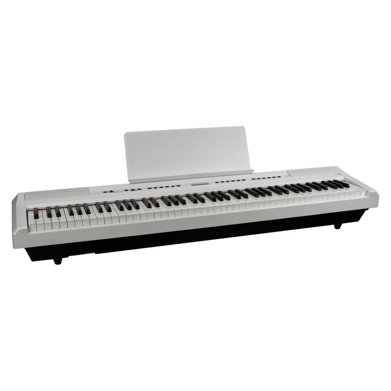 ECHORD SP20-WH