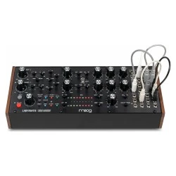 Moog Music Labyrinth