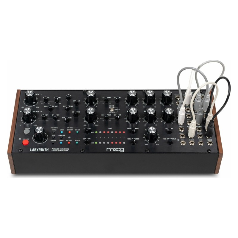 Moog Music Labyrinth