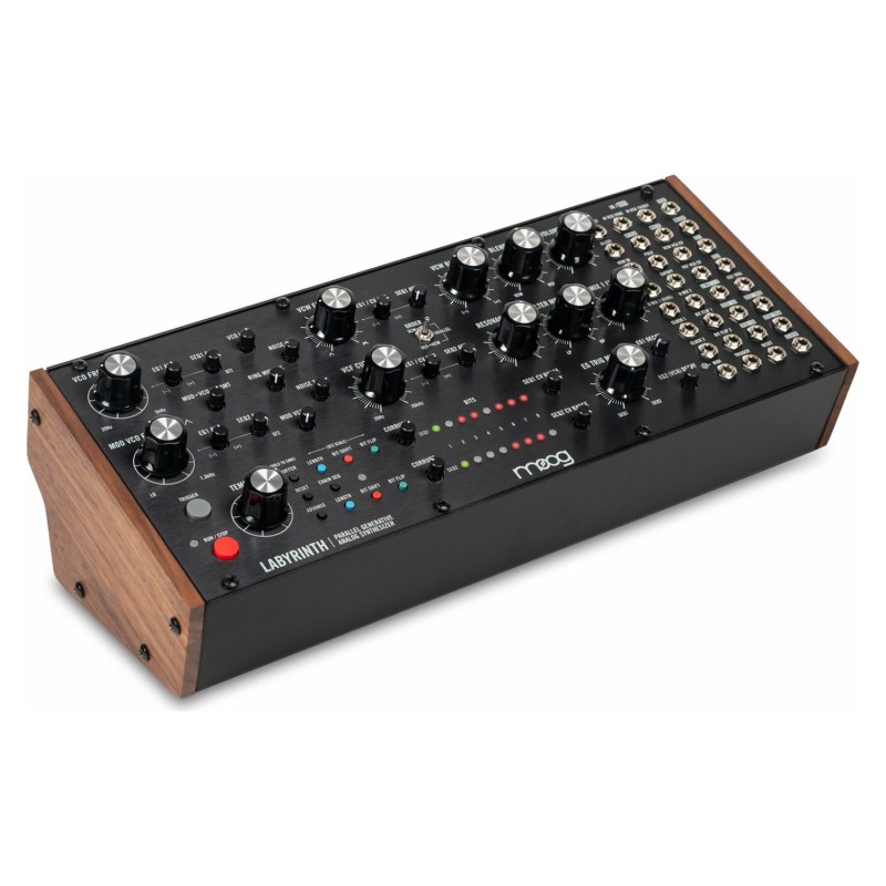 Moog Music Labyrinth