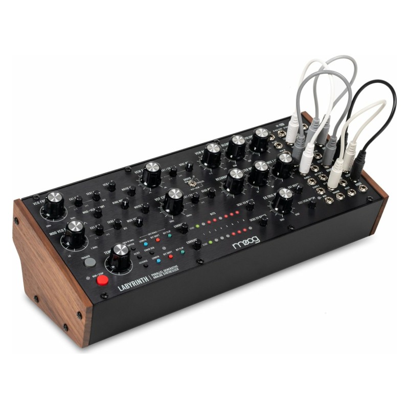 Moog Music Labyrinth