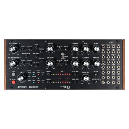 Moog Music Labyrinth