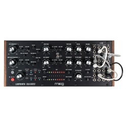 Moog Music Labyrinth