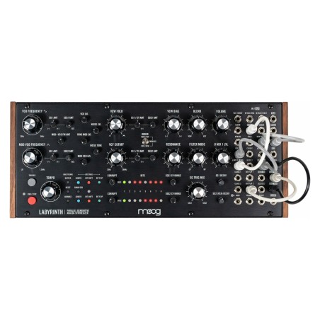 Moog Music Labyrinth