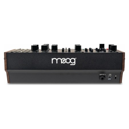 Moog Music Labyrinth