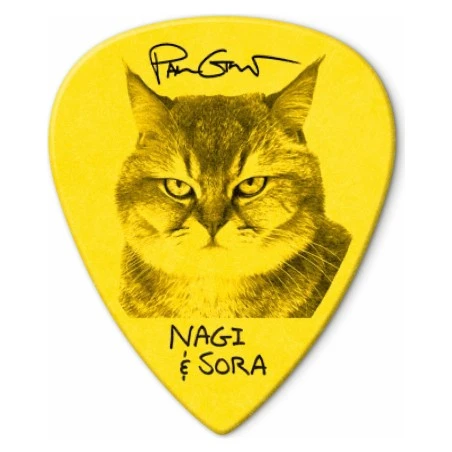 Dunlop PG462P073