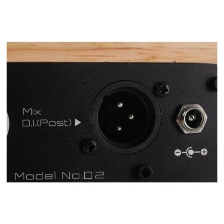 Musiccube Tiny Box D2 Oak
