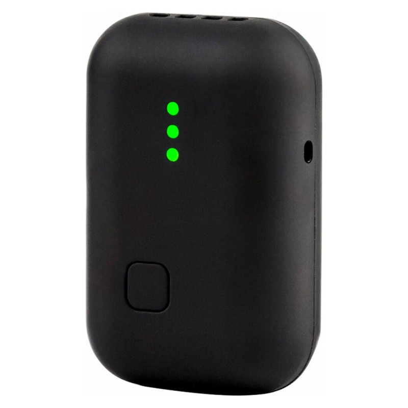 ZOOM Instamic Pro Plus C Stereo