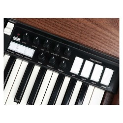 Crumar Mojo Classic
