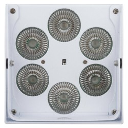 JB Systems ACCU COLOR-WHITE