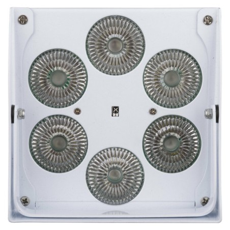 JB Systems ACCU COLOR-WHITE