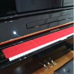 Soundsation SS-100R