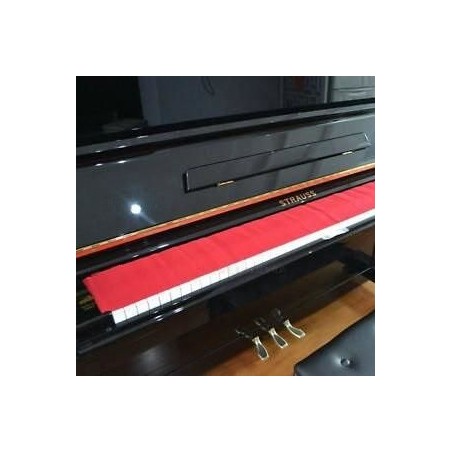 Soundsation SS-100R