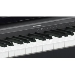 YAMAHA P-45
