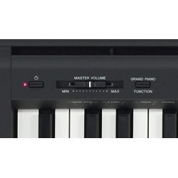 YAMAHA P-45