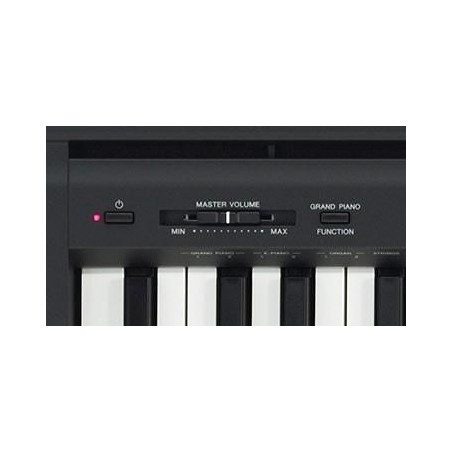 YAMAHA P-45