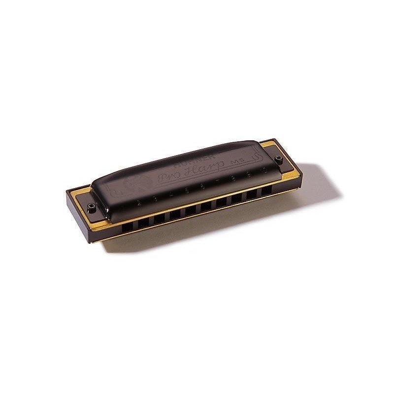 HOHNER Pro Harp 562/20 MS (B)