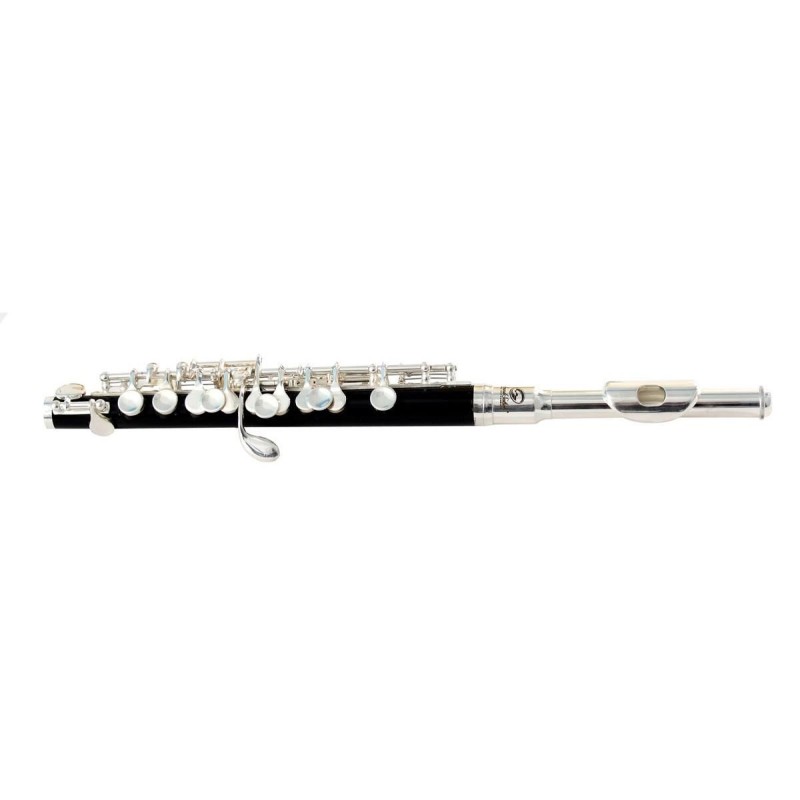 Soundsation SFP-10