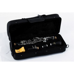 Soundsation SCL-11