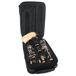Soundsation SCL-18