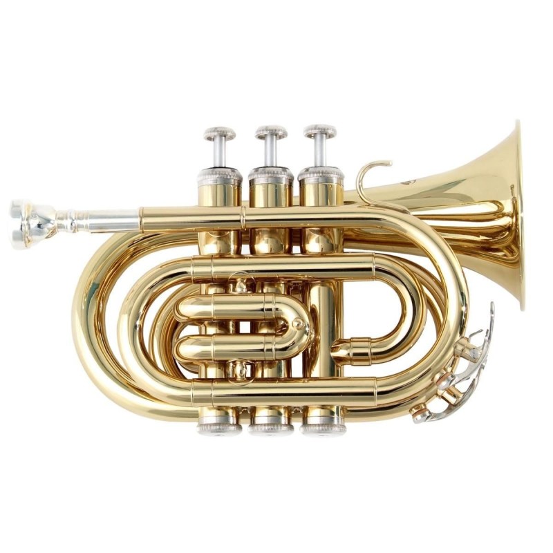 Soundsation STPGD-10P