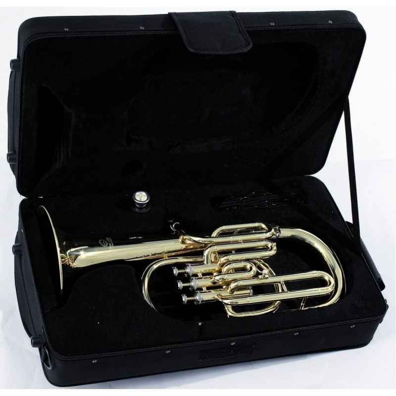 Soundsation SFA-10G