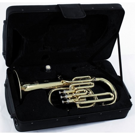 Soundsation SFA-10G