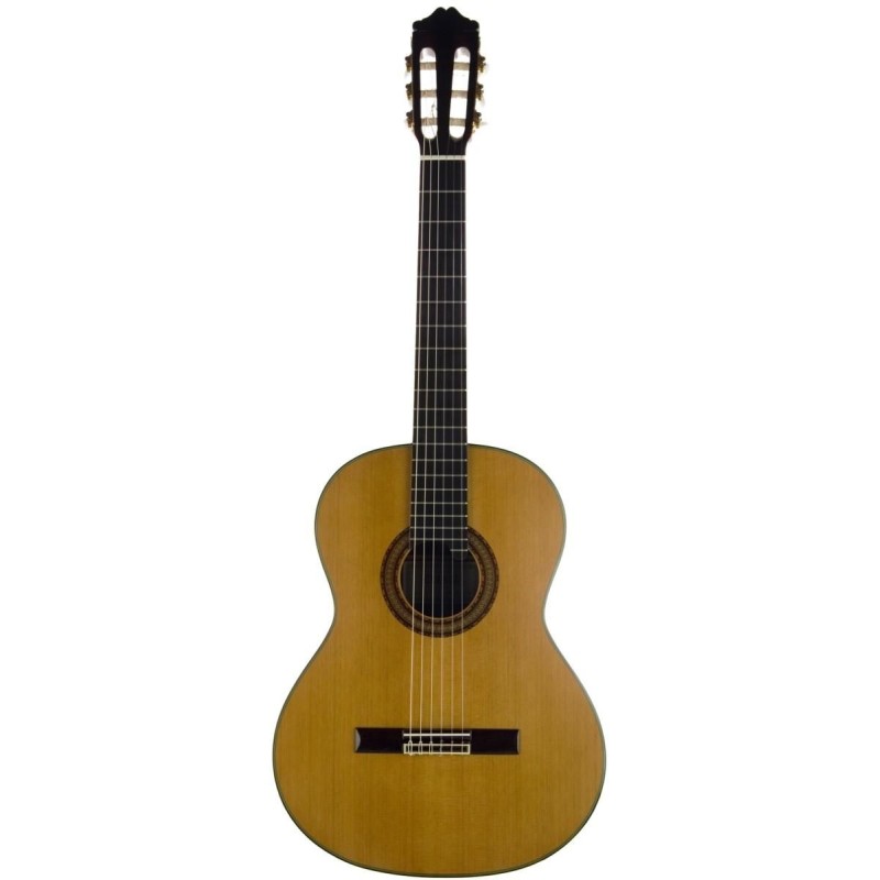 Cuenca 110