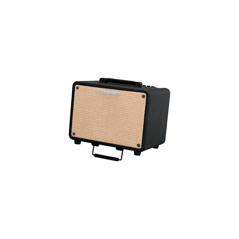 Amplificatore Per Chitarra Acustica AudioDesign IMPACT AG8 - Amplificatore Da Palco Per Strumenti Acustici