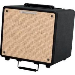 Ibanez T80N-U