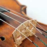 Corde per Strumenti ad Arco