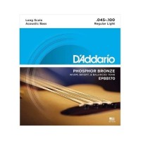 Corde per Basso Acustico