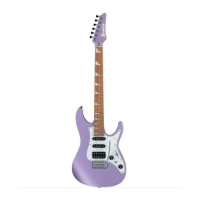 Chitarre Elettriche Signature