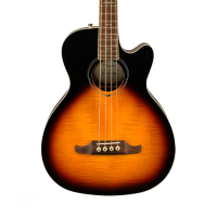 Bassi Acustici e Semiacustici