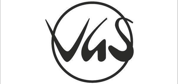VGS Visions in Guitar